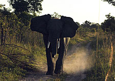 Zambia-Zambia-Shiwa Ngandu Deluxe Horse Safari